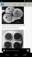 Science Dictionary by Farlex