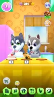 Talking Husky Dog