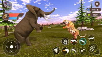 Tiger Simulator