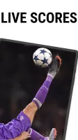 Football Live Scores