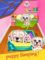 My Puppy Daycare Salon - Cute