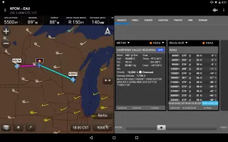 Garmin Pilot