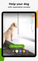 Barkio: Dog Monitor & Pet Cam