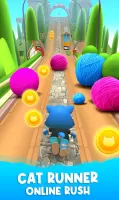 Cat Run