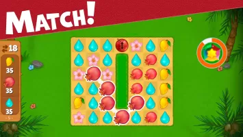 Island Puzzle