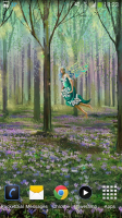 Fairy Party