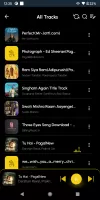 Roar Music Player