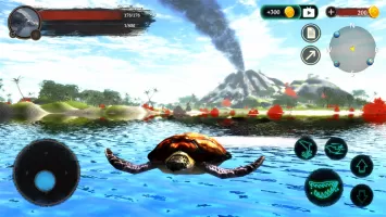 The Turtle
