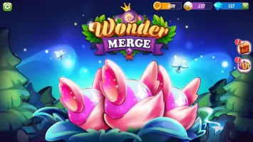 Wonder Merge - Magic Neverland