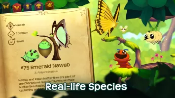 Flutter: Butterfly Sanctuary