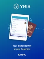 Yris