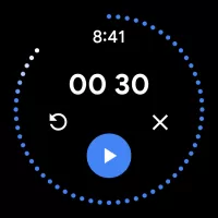 Wear OS by Google Smartwatch