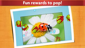 Insect Jigsaw Puzzle Game Kids