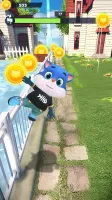 Cat Run