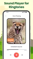Animal Sounds: Animal Ringtone