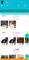 Random Chat (worldwide)