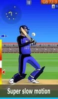 Smashing Cricket: cricket game