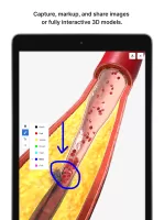 BioDigital Human