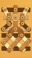 Screw Puzzle