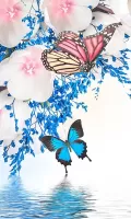 Butterfly Live Wallpaper