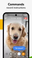 Barkio: Dog Monitor & Pet Cam