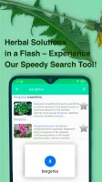 Medicinal Plants & Herbs Guide