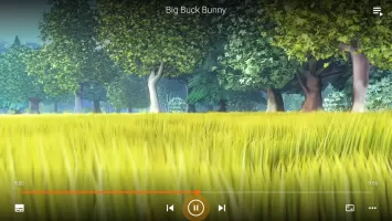 VLC for Android