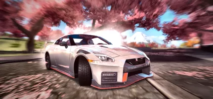 Race Max Pro - Car Racing