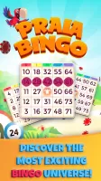 Praia Bingo: Slot & Casino