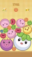 Merge Melon