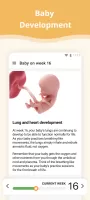 Pregnancy App