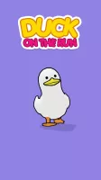 Duck On The Run