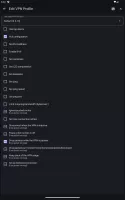 VPN Client Pro