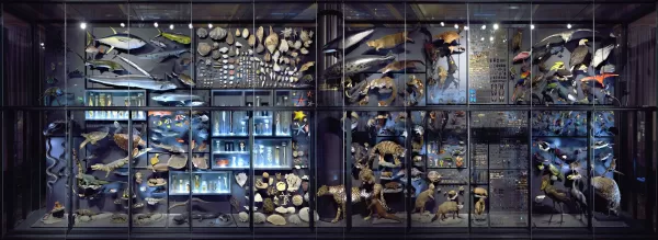 Google Arts & Culture