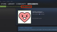 How to Find Your Steam ID?