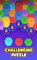 Hexa Stack: Sorting Puzzle