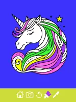 Coloring Book