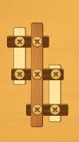 Screw Puzzle
