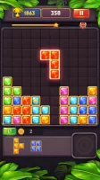 Block Puzzle Jewel Blast