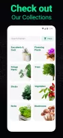 Plantum - Plant Identifier