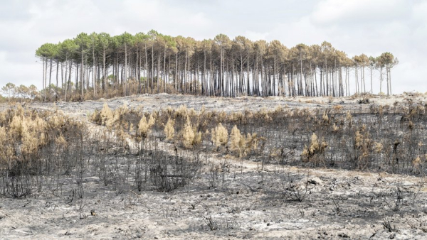 Midi Libre - Actus en direct