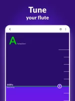 Flute Lessons - tonestro