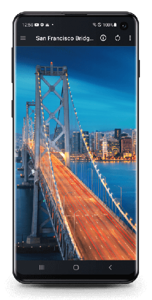File Viewer for Android