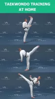 Mastering Taekwondo at Home