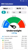 BMI Calculator