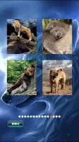 Animals Jigsaw Puzzle