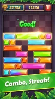 Slidom - Block Puzzle Game