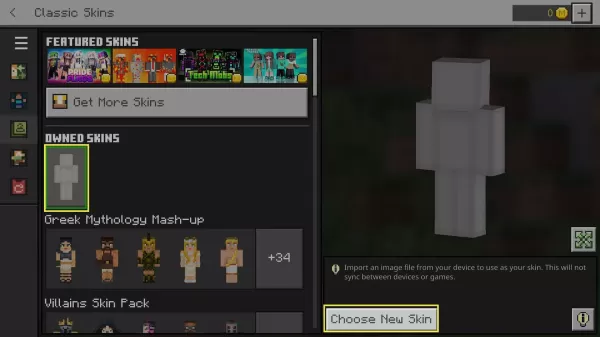 How to Change Minecraft Skins?