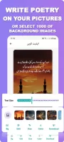 Urdu Poetry Shayari Status