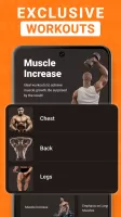 Gym WP